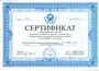 Проф. Бухгалтер Аушан А-1