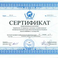Certificate of Professional Accountant Aushan A.S.