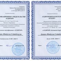 Auditor qualification certificate Aushan A.S.